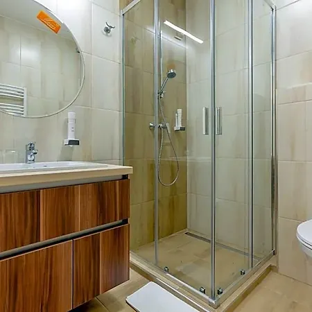 アパートホテル Mayer Superior 3*