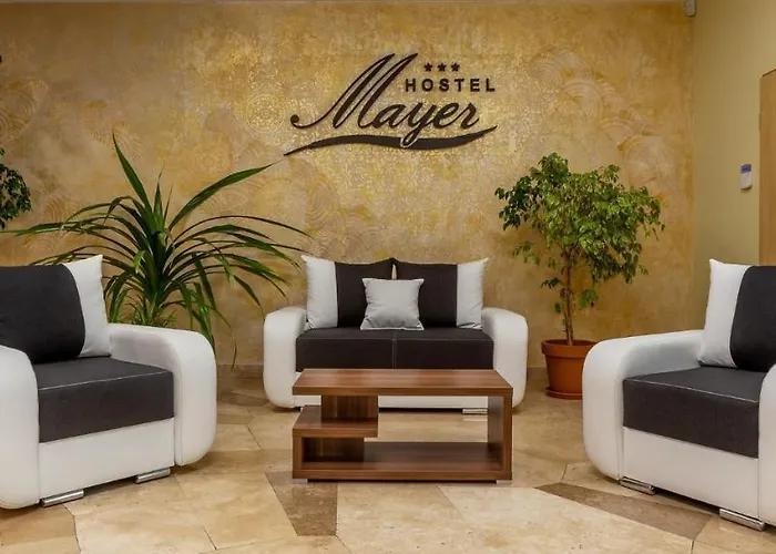 Mayer Superior 4*