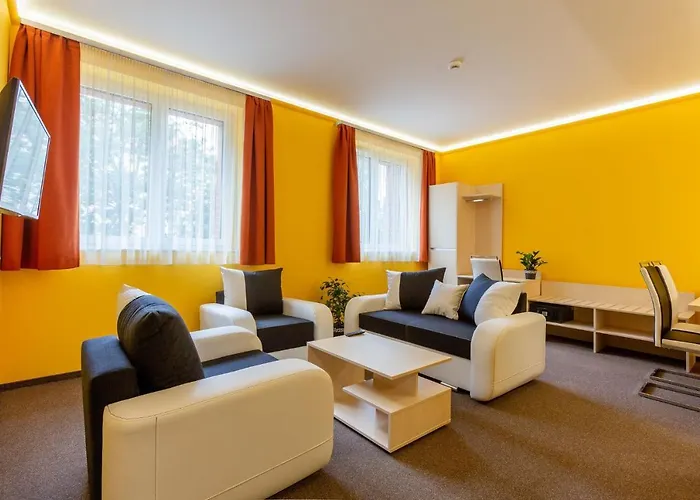 Mayer Superior 4*